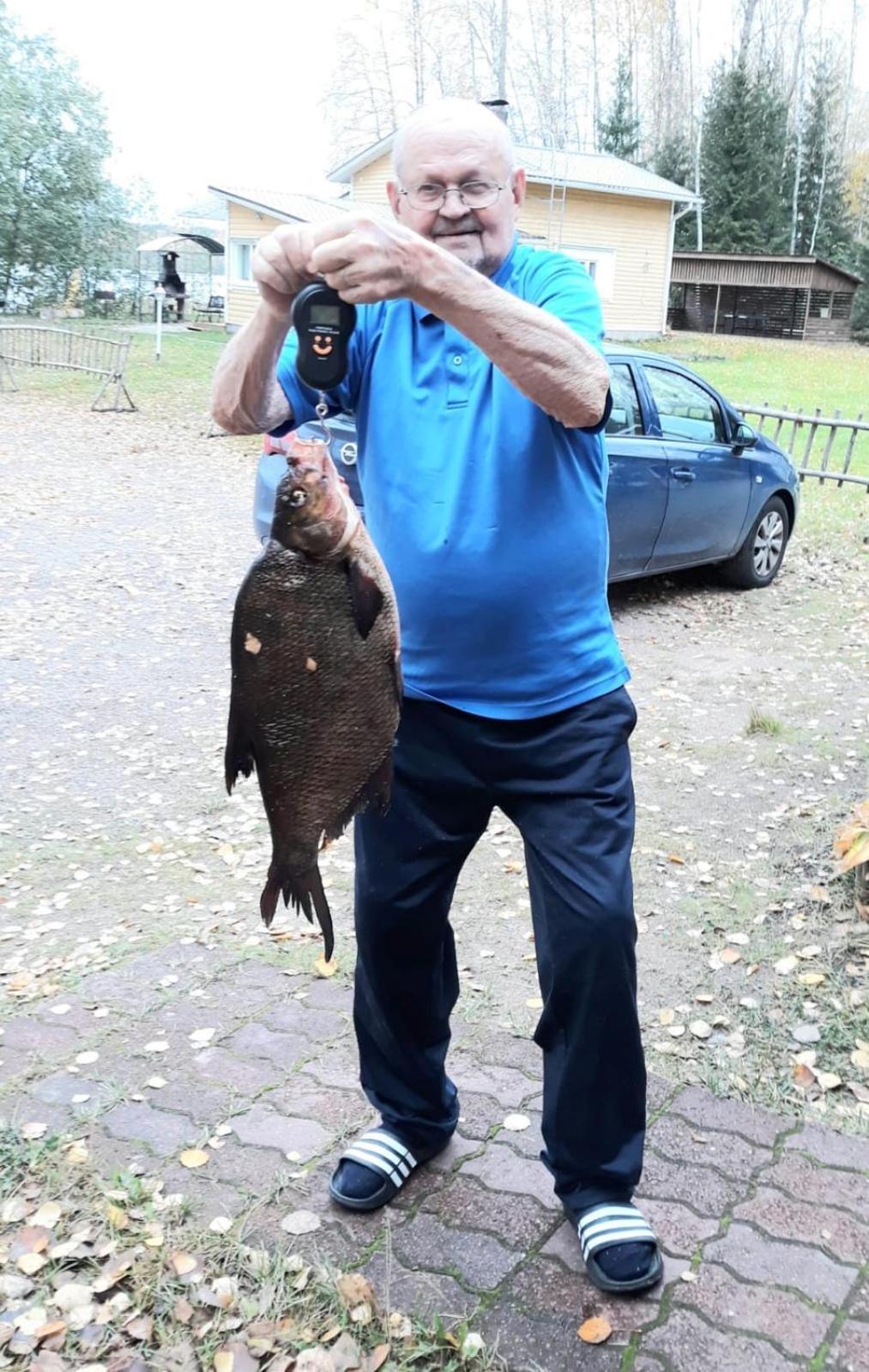 Verlan Satumaa المظهر الخارجي الصورة